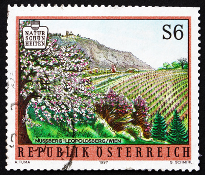 Postage stamp Austria 1997 Nussberg Vineyards