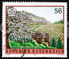 Postage stamp Austria 1997 Nussberg Vineyards