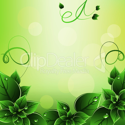 vector frame with  green leaves