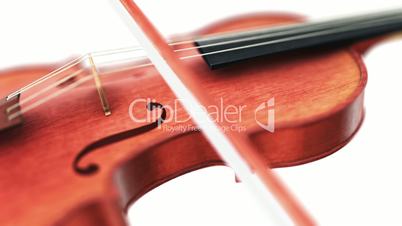 Violin, seamless loop on white background