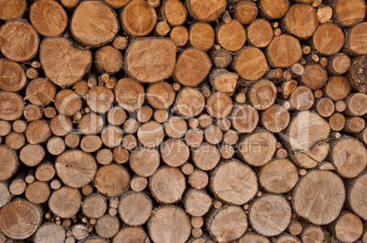 stack of firewood