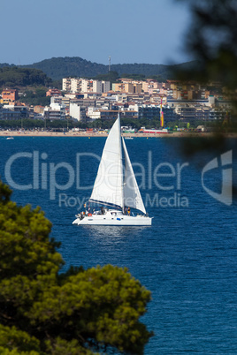 Sailing boat