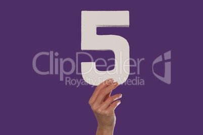 Female hand holding up the number 5 from the bottom