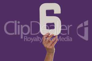 Female hand holding up the number 6  from the top
