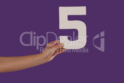 Female hand holding up the number 5 from the left