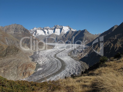 Aletsch Glacier