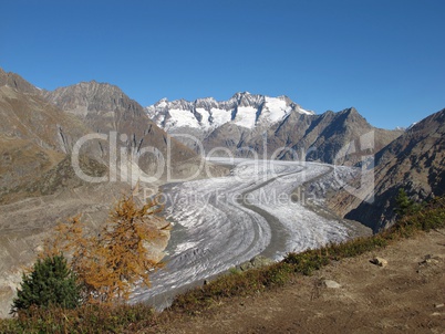 Aletsch Glacier In The Autumn