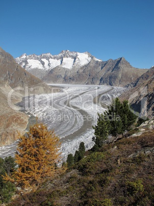 Unique Aletsch Glacier