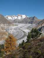 Unique Aletsch Glacier