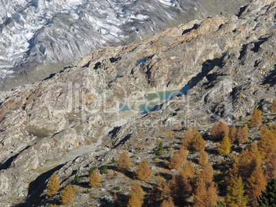 Aletschglacier, Lakes And Colorful Larch Forest