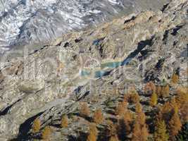 Aletschglacier, Lakes And Colorful Larch Forest