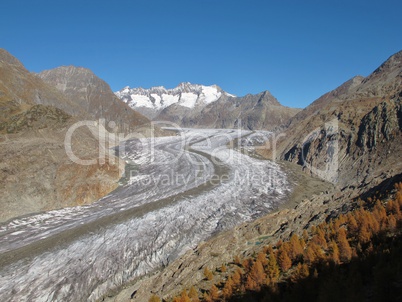 Autumn Scenery At The Aletschgletscher