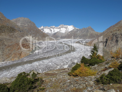 Scenery At The Aletsch Glacier