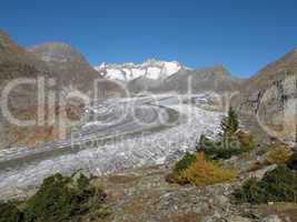 Scenery At The Aletsch Glacier