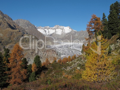 Colorful Scenery In The Aletsch Area