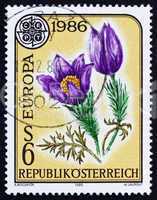 Postage stamp Austria 1986 Pasque Flower