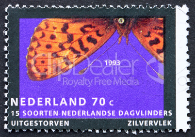 Postage stamp Netherlands 1993 Pearl-bordered Fritillary, Butter