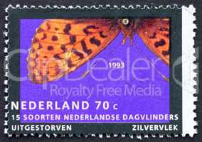 Postage stamp Netherlands 1993 Pearl-bordered Fritillary, Butter