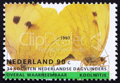 Postage stamp Netherlands 1993 Large White, Butterfly