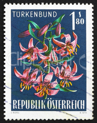 Postage stamp Austria 1966 Turk's Cap Lily, Alpine Flower