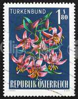 Postage stamp Austria 1966 Turk's Cap Lily, Alpine Flower