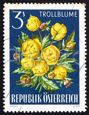 Postage stamp Austria 1966 Globe-flower, Alpine Flower