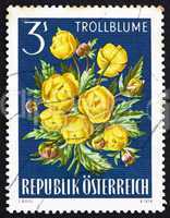 Postage stamp Austria 1966 Globe-flower, Alpine Flower