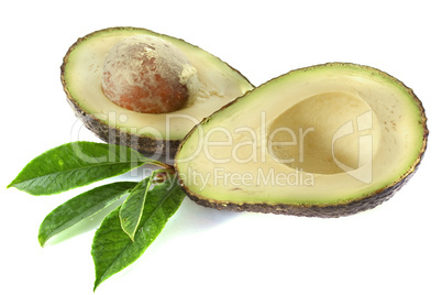 avocado