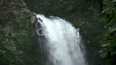 dschungel waterfall makro