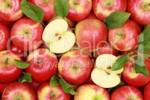 Rote Äpfel mit Blättern