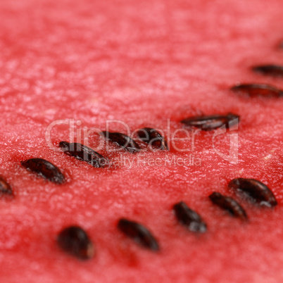 Frische Wassermelone