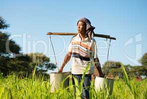 Traditional Burmese farmer