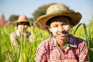 Burmese female farmer