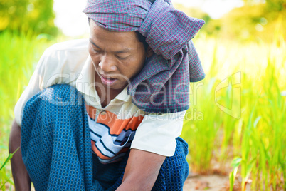 Myanmar male farmer