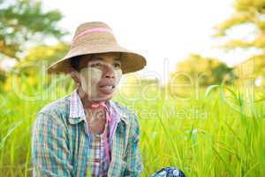 Mature Myanmar farmer