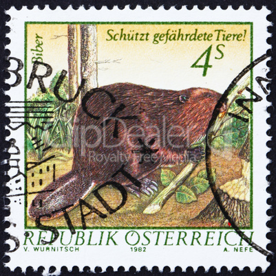 Postage stamp Austria 1982 Eurasian Beaver, Castor Fiber Postage stamp Austria 1982 Eurasian Beaver, Castor Fiber