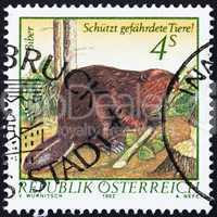 Postage stamp Austria 1982 Eurasian Beaver, Castor Fiber