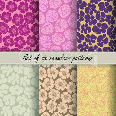 Set of six vector seamless flower patterns
