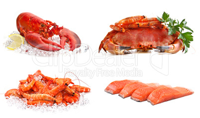 Set of sea food on a white background. Crab, shrimps, lobster, s
