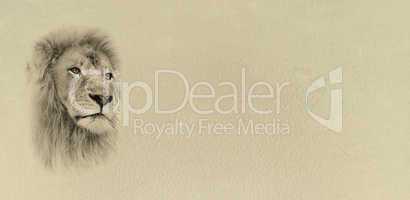 Sepia Toned Lion Face with Text Card Banner