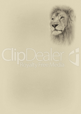 Sepia Toned Large Lion Face with Text Page