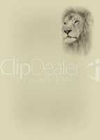 Sepia Toned Large Lion Face with Text Page