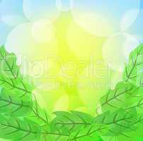 Green spring background with leafage and blurry light