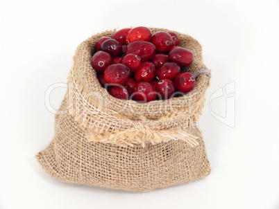 Frische Cranberries