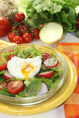 Salat mit pochiertem Ei und Radieschen