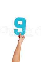 hand holding up the number nine from the bottom