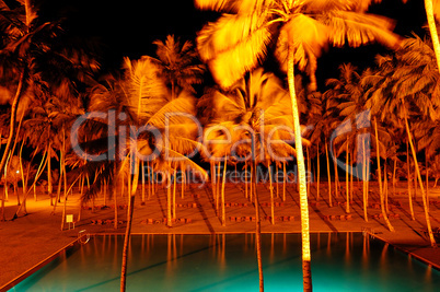 Night illumination of swimming pool and palms at luxury hotel, B