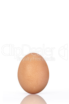 an egg