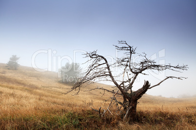 Movement of the clouds on the mountain Demerdji. Alushta, Crimea, Ukraine