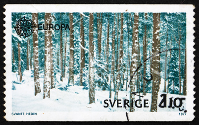 Postage stamp Sweden 1977 Forest in Snow